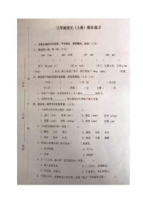 浙江省温州市海城新苗学校2020-2021学年第一学期三年级语文期末测试（图片版，无答案）