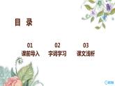 8.匆匆 （2课时） 课件+教案