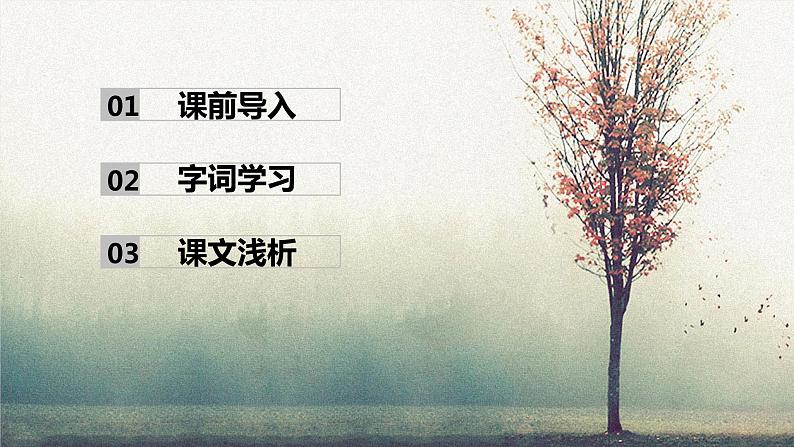 11.十六年前的回忆（2课时）  课件+教案02