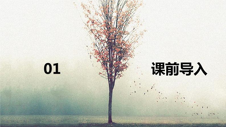 11.十六年前的回忆（2课时）  课件+教案03