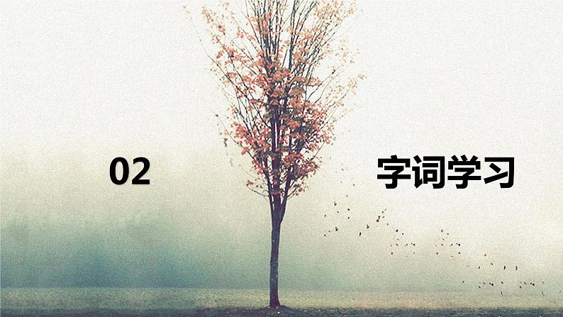 11.十六年前的回忆（2课时）  课件+教案07