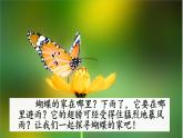 2021年人教部编版四年级语文上册8蝴蝶的家PPT课件【精品】
