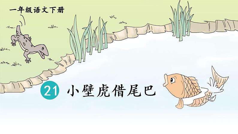 21 小壁虎借尾巴【教案匹配版】推荐%U2764第6页