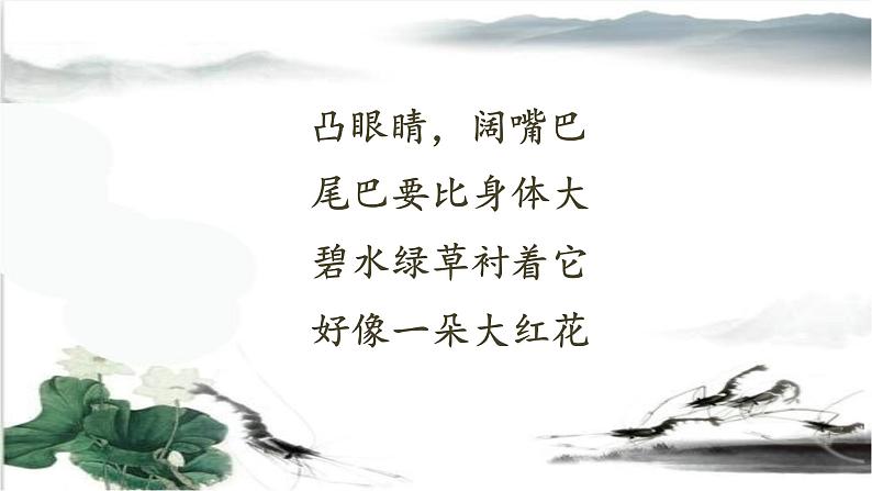 人教部编版三年级语文下册15.《小虾》【课件】02