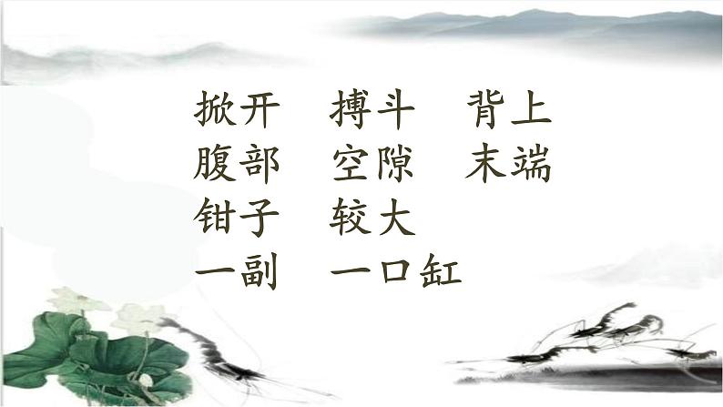 人教部编版三年级语文下册15.《小虾》【课件】05