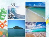 人教部编版三年级语文下册 23.《海底世界》【课件】