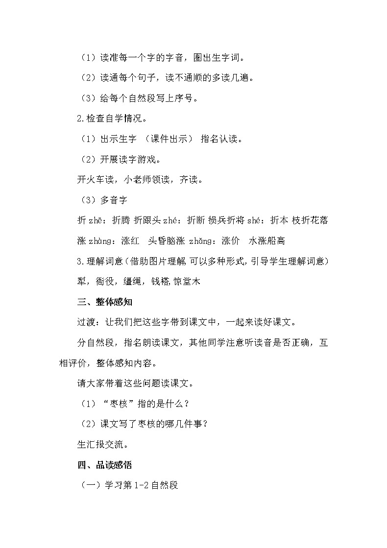 人教部编版三年级语文下册 28《枣核》【教案】第2页
