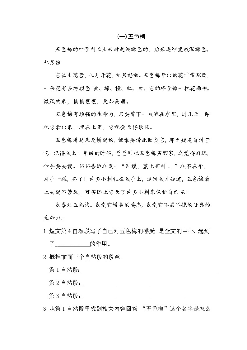 习作：我的植物朋友【试题】02