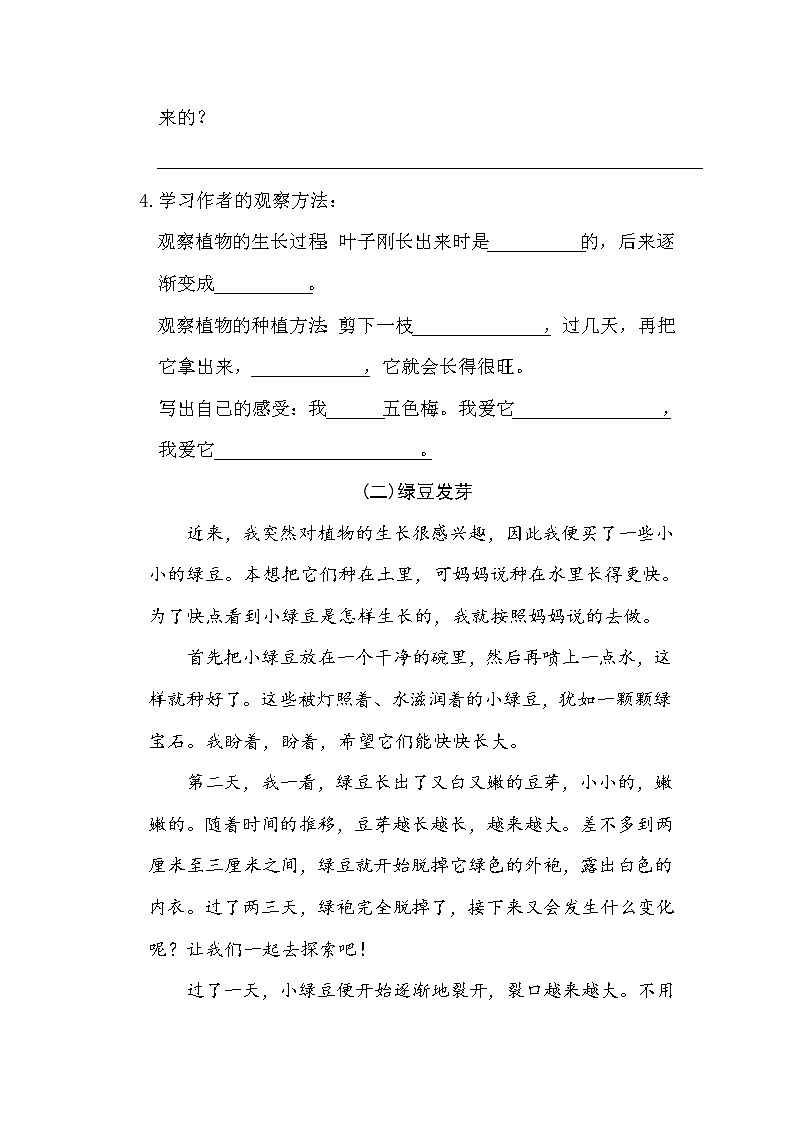 习作：我的植物朋友【试题】03