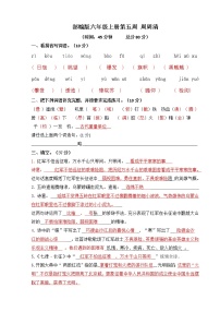 六上   第五周   周周清    答案练习题