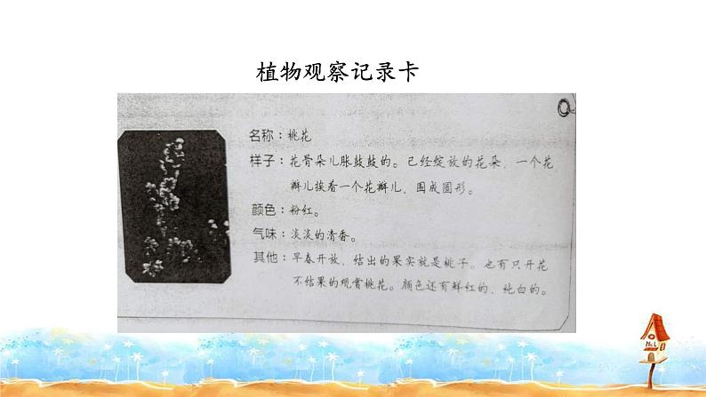 人教部编版三年级语文下册第一单元习作《我的植物朋友》【课件】03