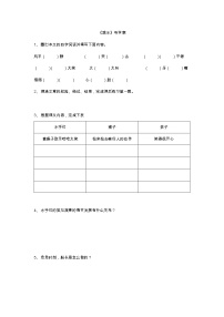 人教部编版五年级下册第六单元17 跳水学案设计