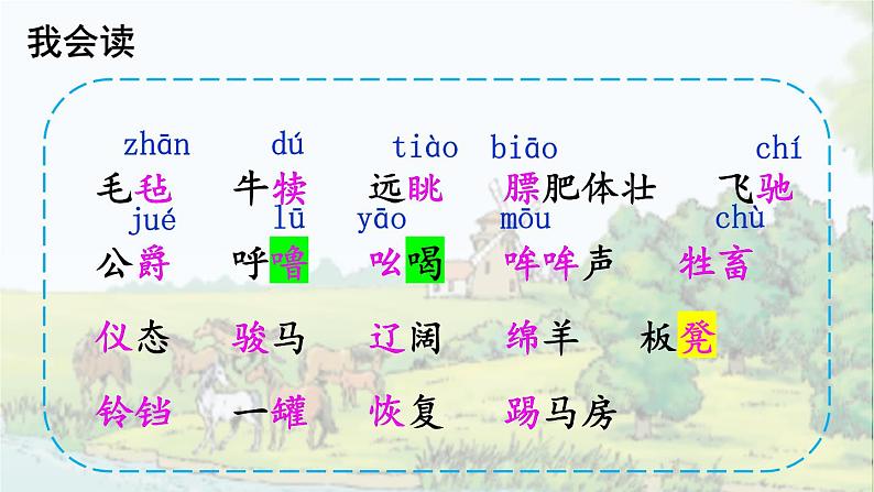 19 牧场之国【定稿】课件PPT第3页