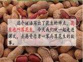 2、部编五年级上册《落花生》　课件