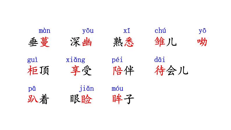 珍珠鸟PPT课件免费下载06