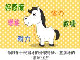 伯乐识马、、课件PPT