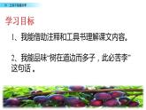 黄华小学-曾明平-《王戎不取道旁李》课件PPT