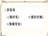 部编版 语文一年级下册 第二单元知识总结课件PPT