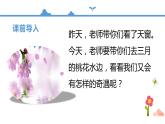 人教部编版四年级语文下册   4.三月桃花水【课件】（人教部编版）(共16张PPT)