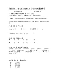 统编版二年级上册语文易错跟踪提优卷