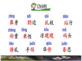 4《梅花魂》课件+教案+练习+素材