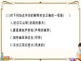 部编版 语文三年级下册 专项复习PPT： 第4天 积累与运用
