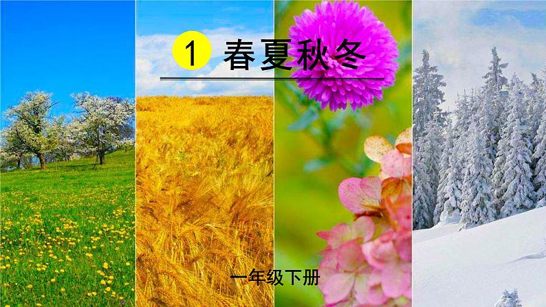 识字1  春夏秋冬 课件第3页