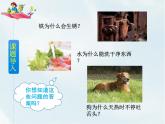 人教部编版四年级下册第二单元——  快乐读书吧  十万个为什么【课件+教案】