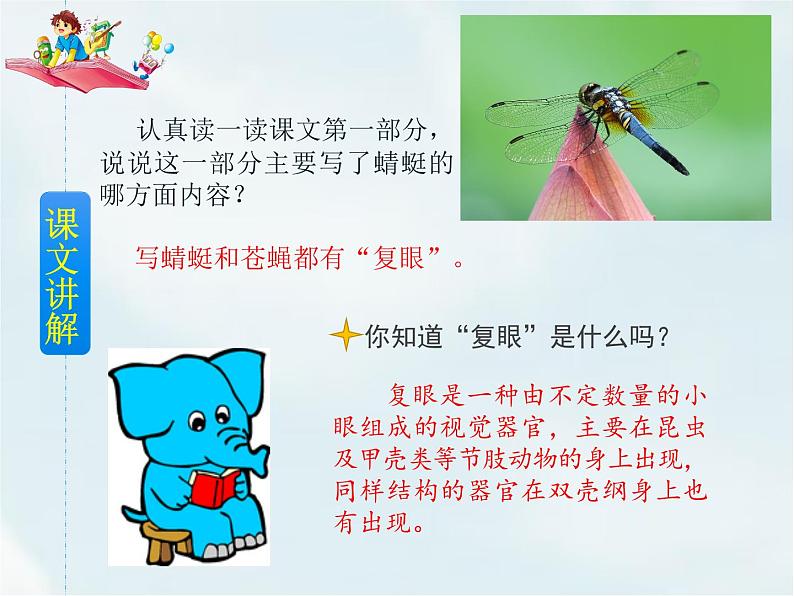 4 昆虫备忘录第8页
