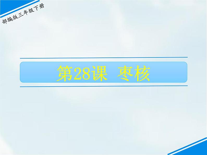 人教部编版三年级下册第八单元——28 枣核【课件+教案+课文朗读】01