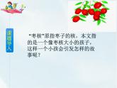 人教部编版三年级下册第八单元——28 枣核【课件+教案+课文朗读】