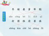 人教部编版三年级下册第八单元——28 枣核【课件+教案+课文朗读】