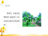 部编版语文四年级下册 第1单元 2.乡下人家 PPT课件+教案