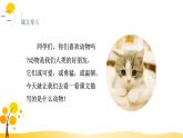 部编版语文四年级下册 第4单元 13.猫 PPT课件+教案