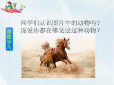 人教部编版 二年级下册——课文4——14 小马过河【课件+教案+生字+课文朗读】