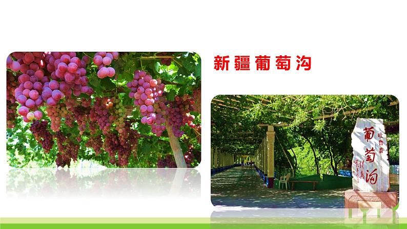 2022春部编版一年级下册语文2 我多想去看看 课件+教案03