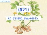 部编版五年级上册《落花生》　优质课件