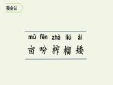 部编版五年级上册《落花生》　优质课件