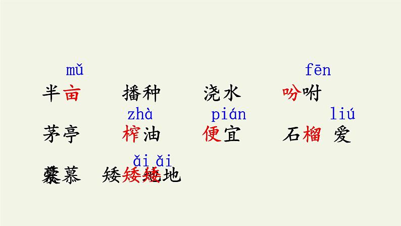部编版五年级上册《落花生》　优质课件05