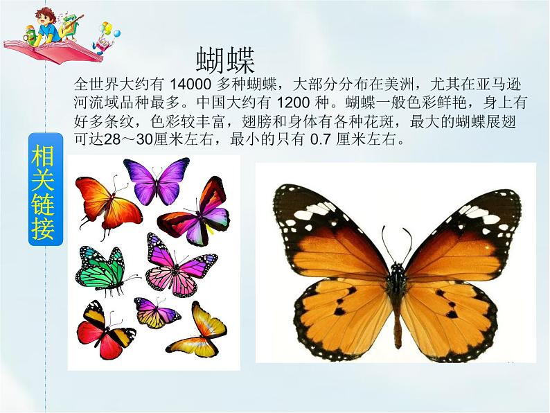 人教部编版一年级下册识字（二）——5  动物儿歌【课件+教案+生字+课文朗读】03