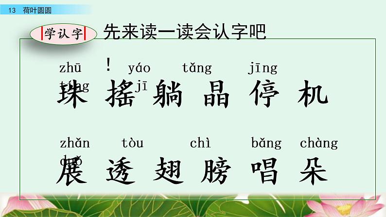 2021年小学语文部编版一年级下册 第六单元 13 荷叶圆圆 课件07