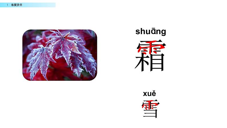 2021年小学语文部编版一年级下册 第一单元 识字1 春夏秋冬 配套课件1第6页