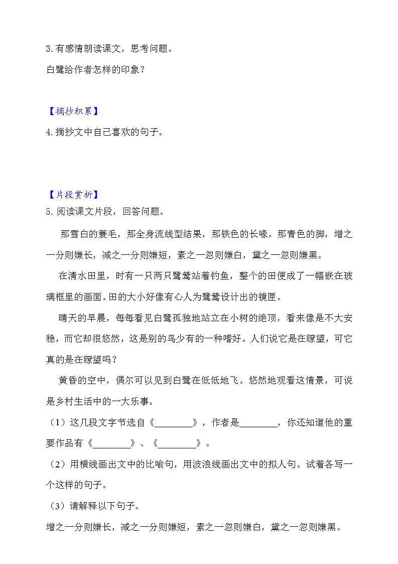 1.白鹭  知识梳理+同步练习（含答案）第2页