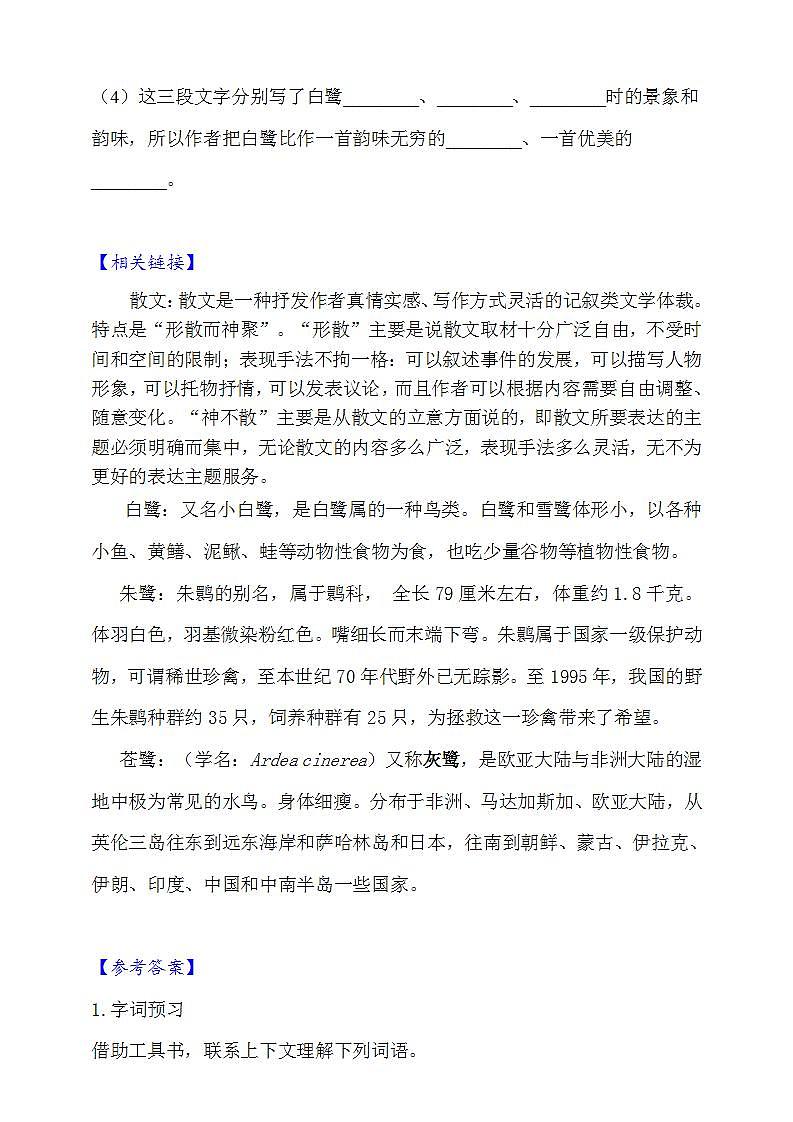 1.白鹭  知识梳理+同步练习（含答案）第3页