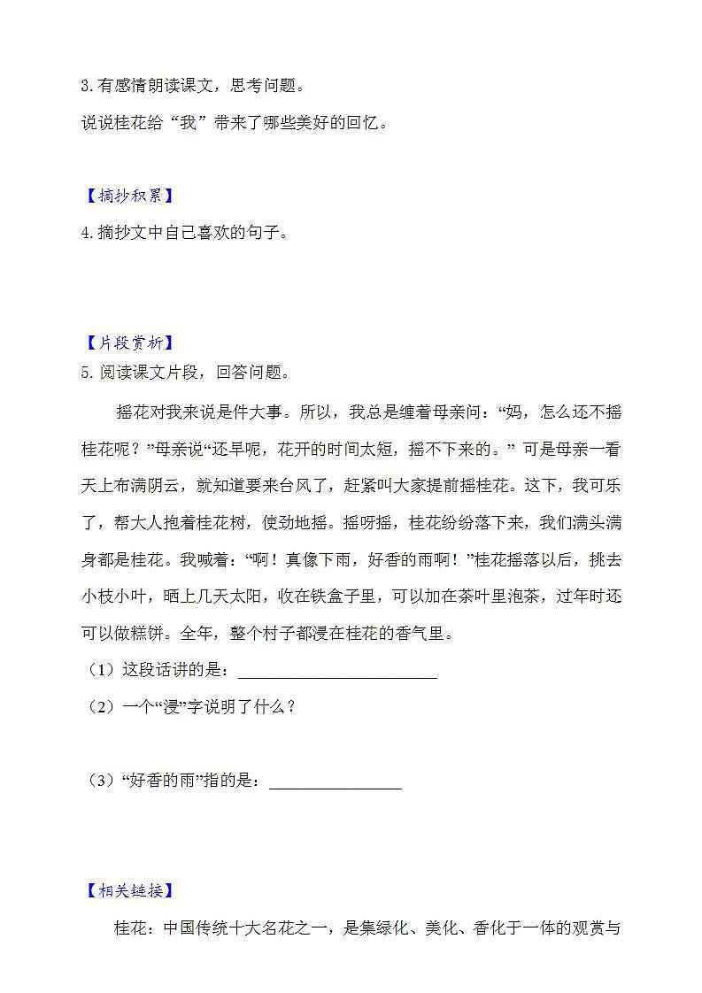 3.桂花雨  知识梳理+同步练习（含答案）02