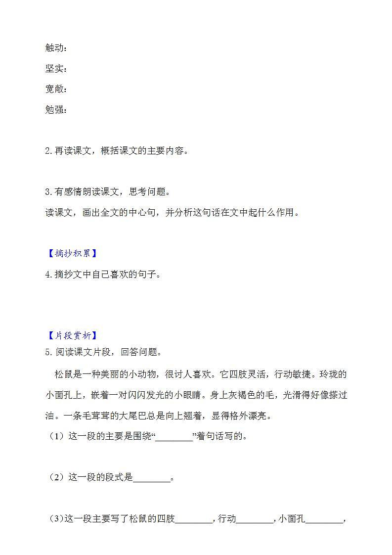 17.松鼠  知识梳理+同步练习（含答案）第2页