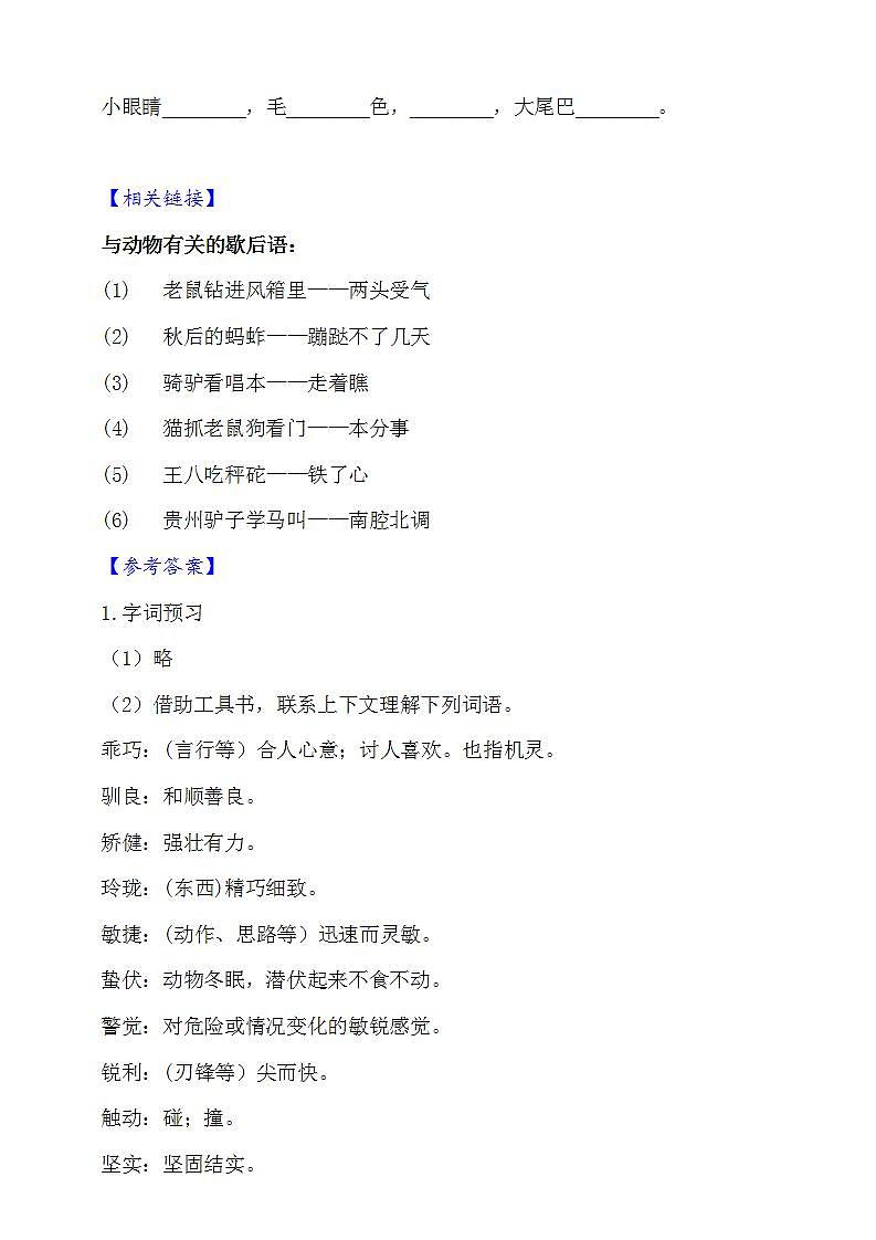 17.松鼠  知识梳理+同步练习（含答案）第3页