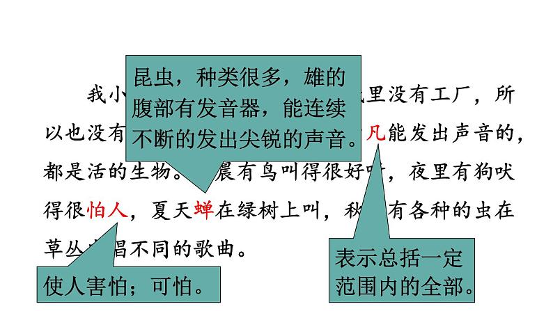 六年级下册16、表里的生物课件PPT02