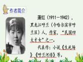 人教部编版语文五年级下册 第一单元 2 祖父的园子 PPT课件