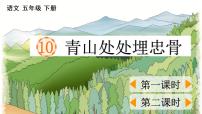 小学语文人教部编版五年级下册11 青山处处埋忠骨背景图课件ppt